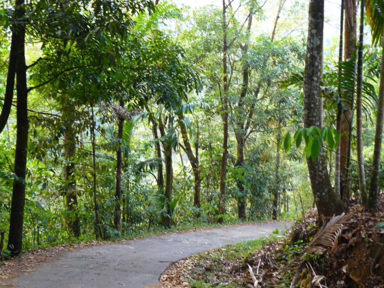White Villa Kitulgala Exterior photo